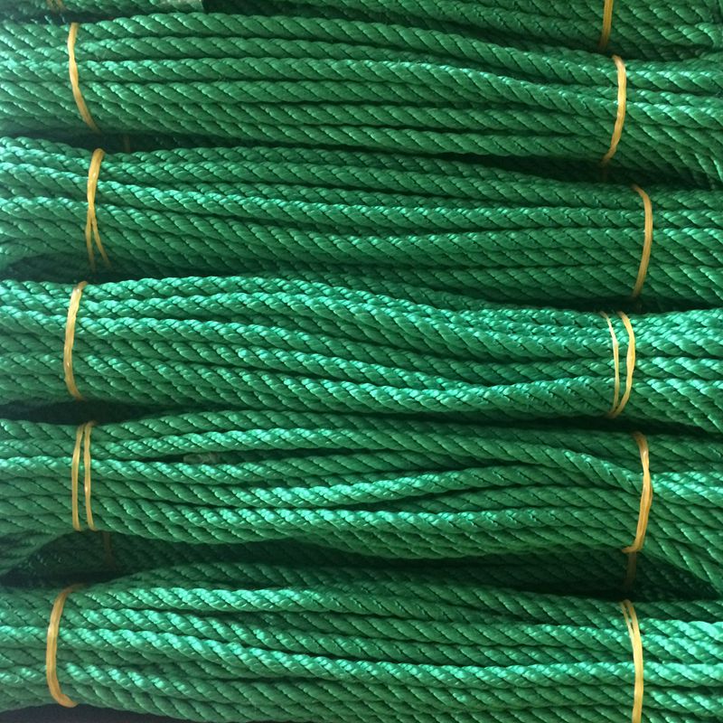 Polyester twisted rope