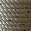 Polyester twisted rope